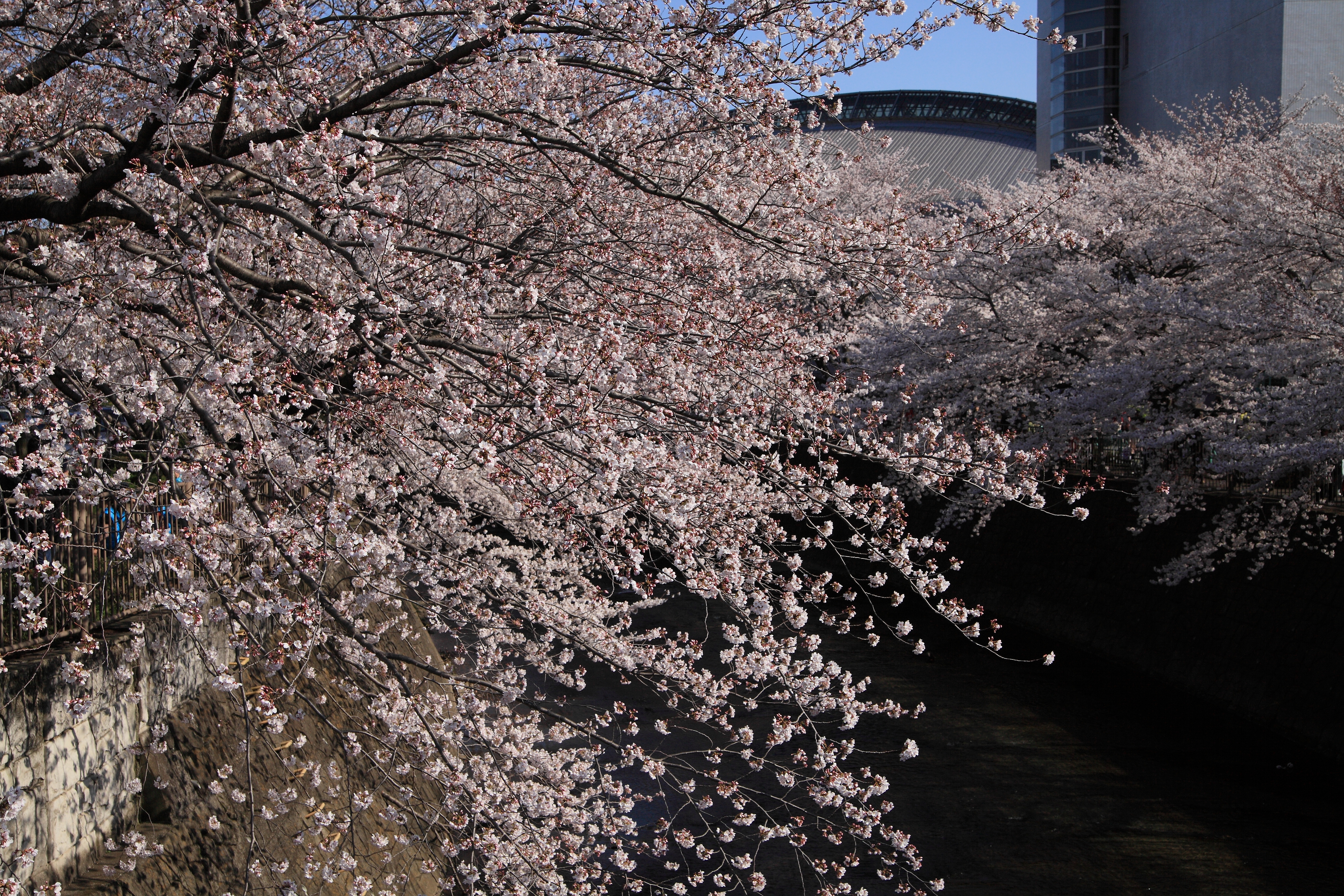 IMG_2106.JPG(12363 Kbyte)