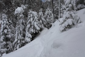 登山口から少し入った所