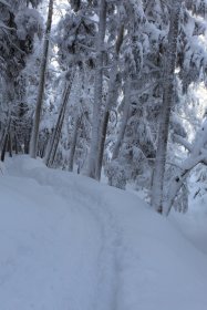 登山中7