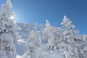 黒百合ヒュッテからの下山中1