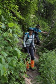 一ノ沢登山道 9