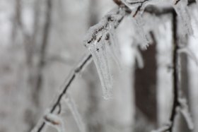 霧の結晶