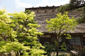 新緑と合掌造り