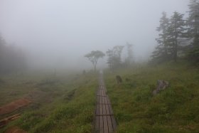 霧の中