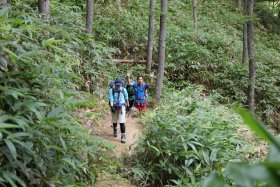 笹に囲まれた登山道