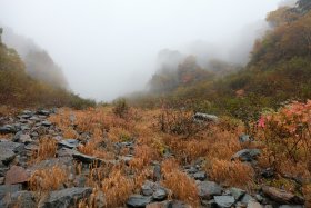 紅葉の白出沢