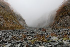 白出沢の上流