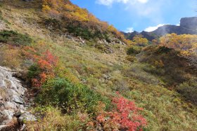 岳沢の紅葉