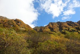 明神岳の紅葉