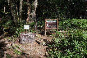 岳沢登山口