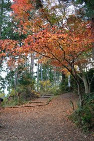 紅葉の登山道