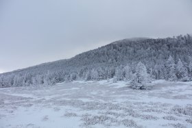 縞枯山