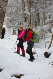 縞枯山へ