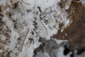 霧氷