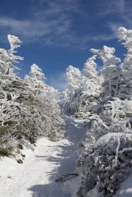 北峰への登山道