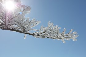 樹氷と太陽