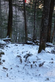 しらびそ小屋への登山道