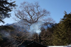 しらびそ小屋