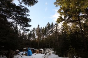 しらびそ小屋前の広場