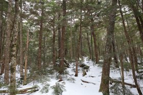 静かな登山道