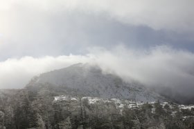 天狗岳山頂はまだ雲の中