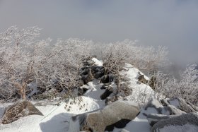 天狗の奥庭