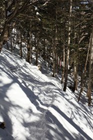 中山峠下の斜面