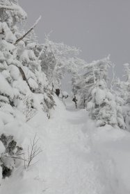 北横岳へ