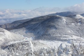 縞枯山