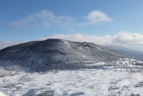 縞枯山