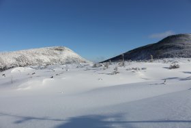 坪庭と縞枯山