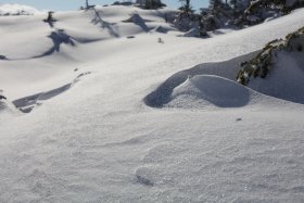 舞い上がる雪