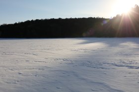 白駒池と朝日