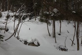 こまどり沢