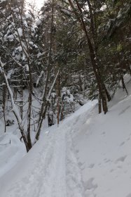 しらびそ小屋手前の坂