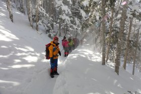 陽の光と風に舞う雪