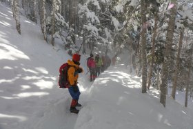 陽の光と風に舞う雪