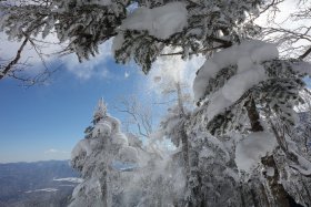 粉雪