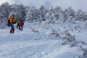 緩やかな斜面