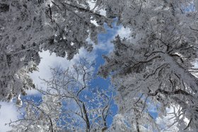 青空と雪