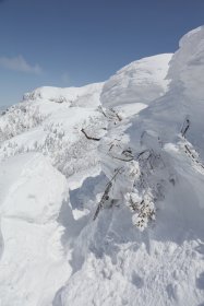 雪の通り道