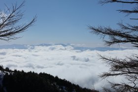 雲海と富士山