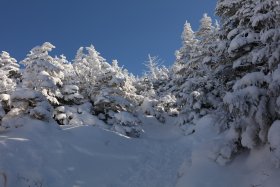 ふかふかの雪の道