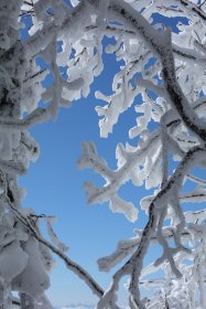 樹氷と青空