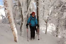 樹氷の中の登山道