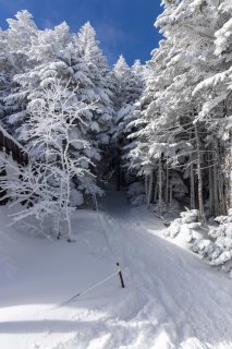 北横岳山頂方面