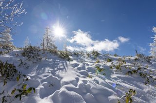 雪面と太陽