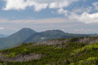 蓼科山と北横岳、縞枯山