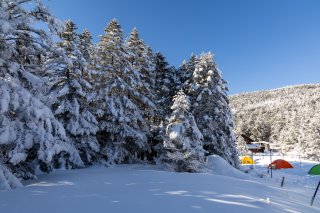 黒百合ヒュッテ