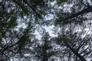 青空が少し